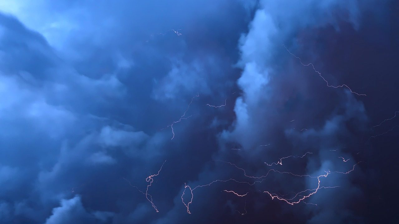 Mango Blackcurrant